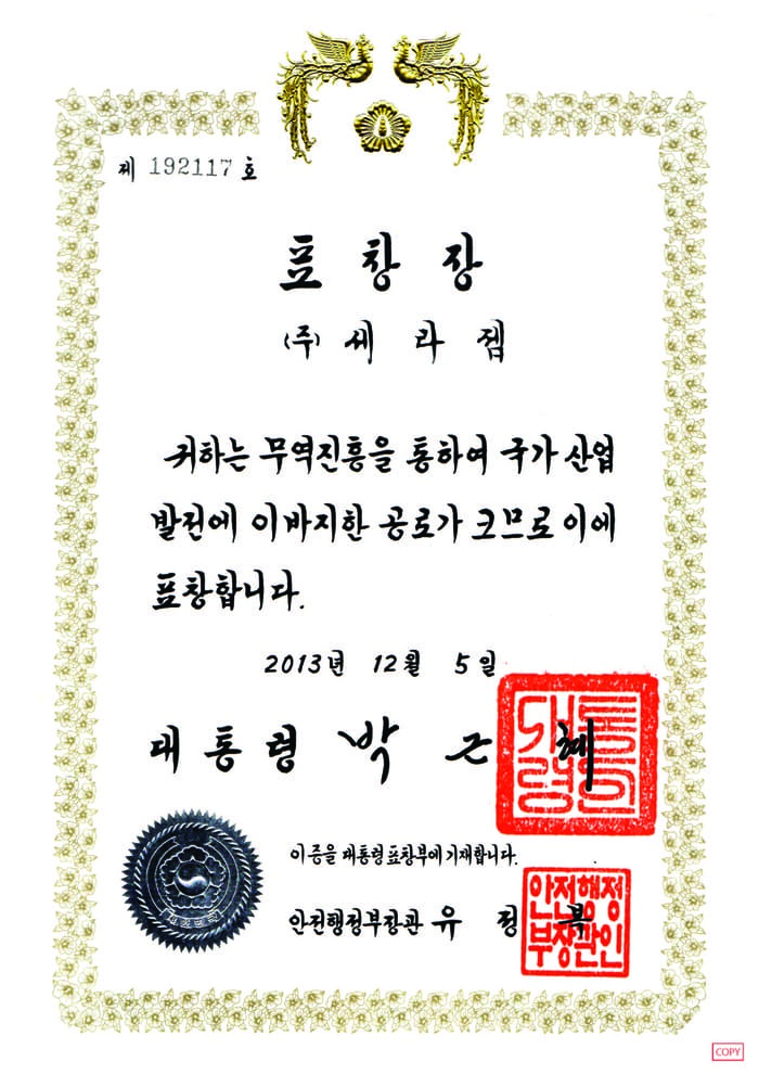 certificate4.jpg